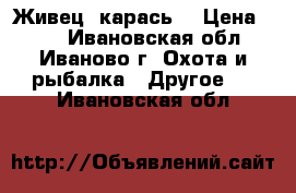 Живец (карась) › Цена ­ 10 - Ивановская обл., Иваново г. Охота и рыбалка » Другое   . Ивановская обл.
